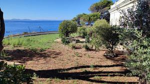Rosas - Le Phare - 34